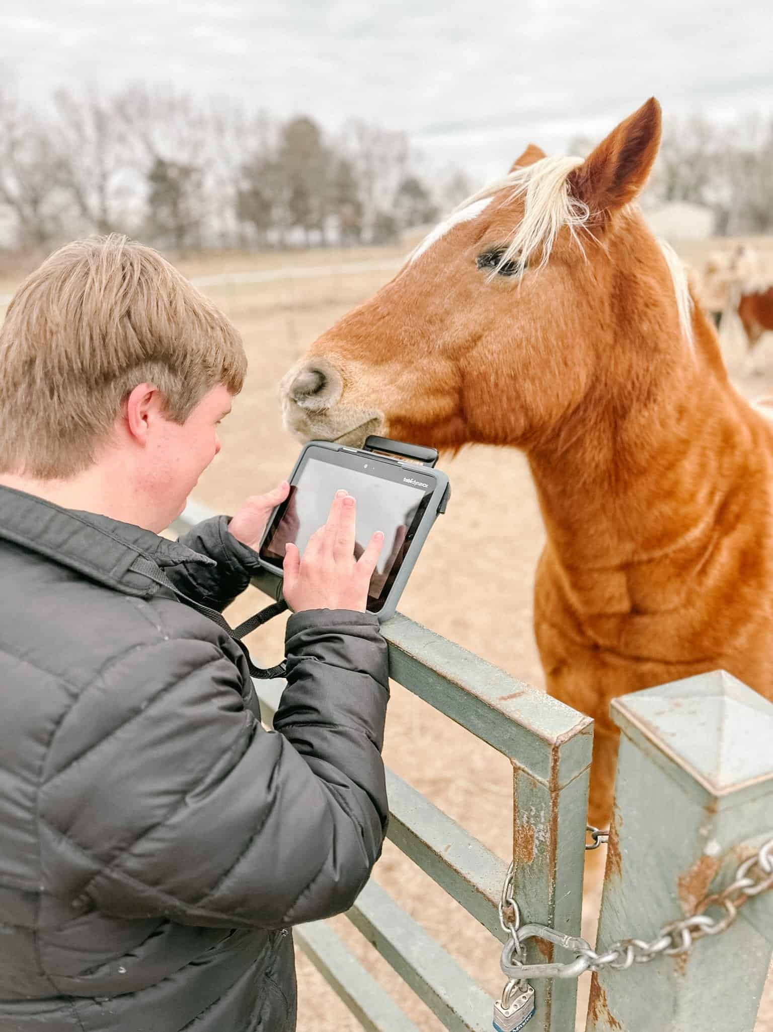 Hippotherapy & Pediatric Speech Therapy Near Me in NW Arkansas